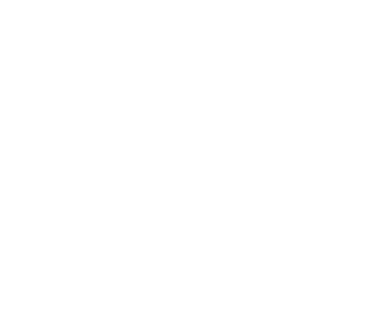 speedsize-logo